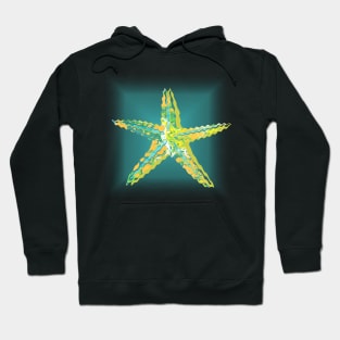 Starfish Marbled Paper Collage Hoodie